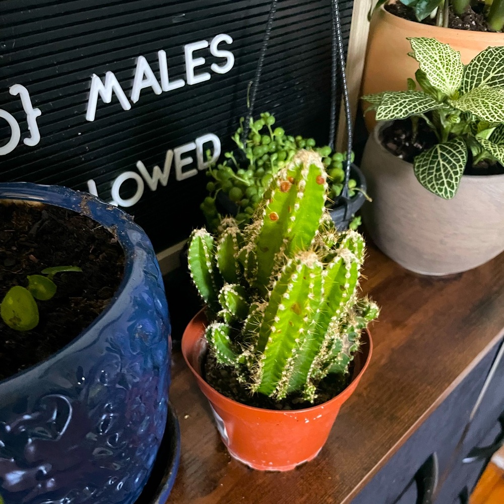 MOVING SALE